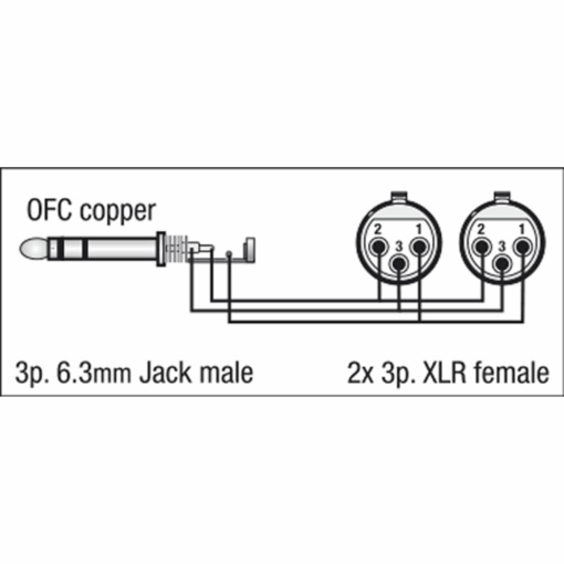DAP FL37 – 2x XLR Female naar 6,3 mm Stereo Jack (TRS) – 1,5 meter - Afbeelding 2
